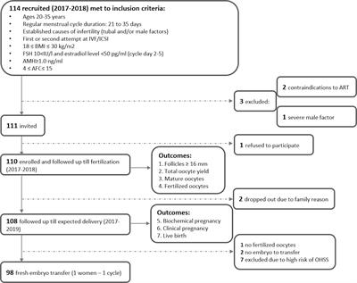 Association of the Serum Folate and Total Calcium and Magnesium Levels Before Ovarian Stimulation With Outcomes of Fresh In Vitro Fertilization Cycles in Normogonadotropic Women